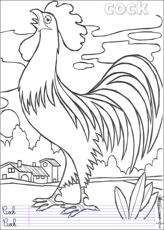 coloriage coq 1